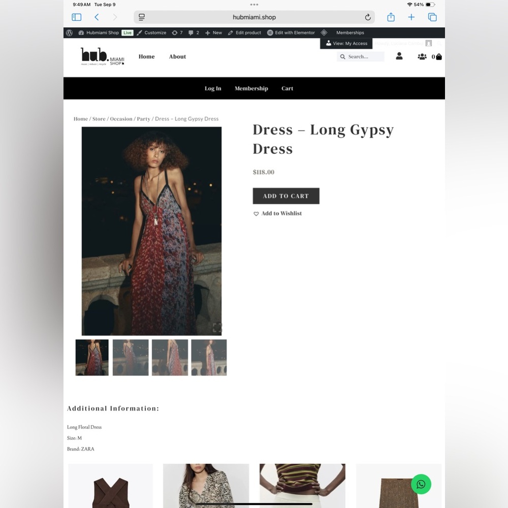 Zara Red and Blue Maxi Dress